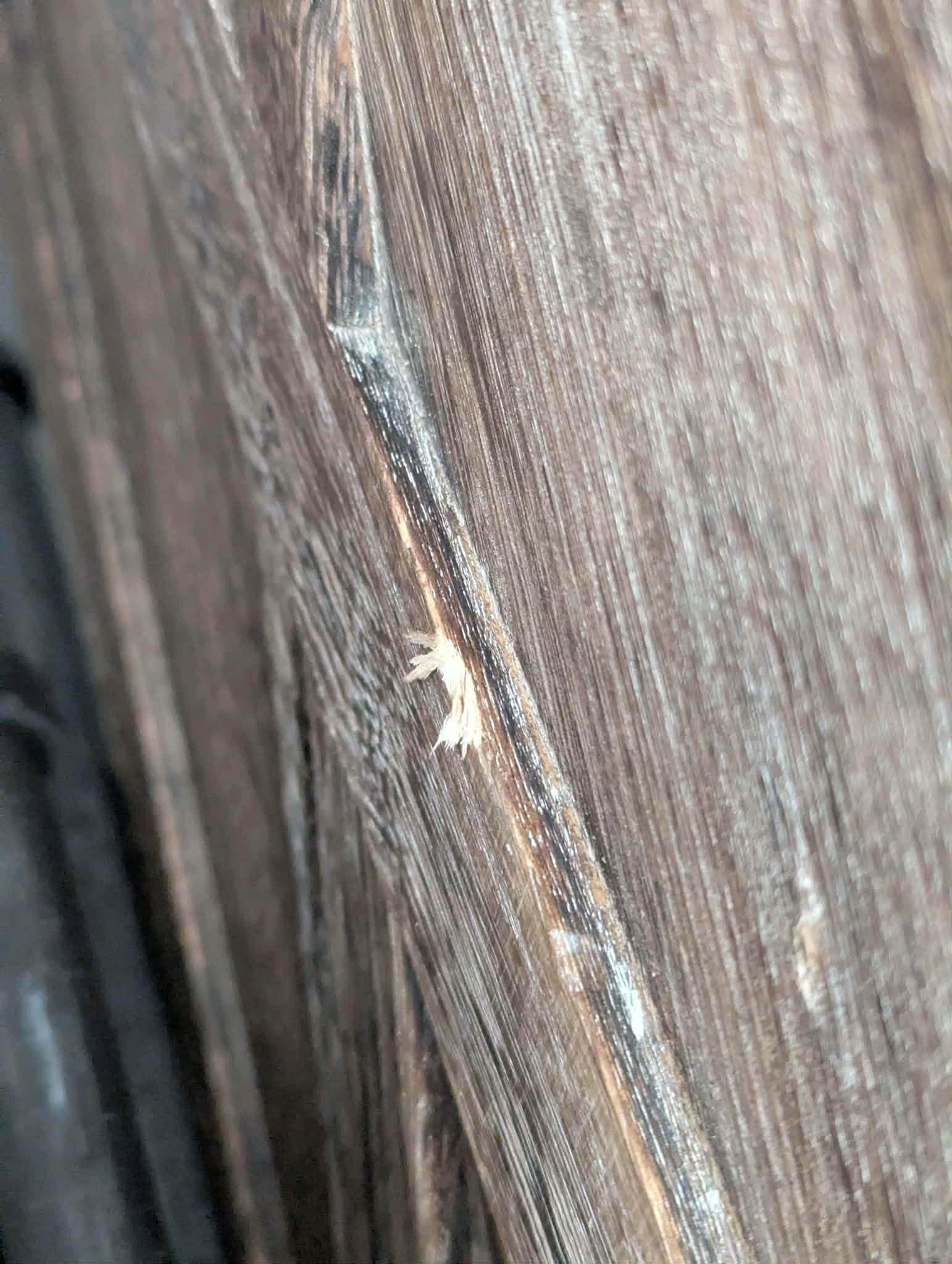 Gouged wood display close-up